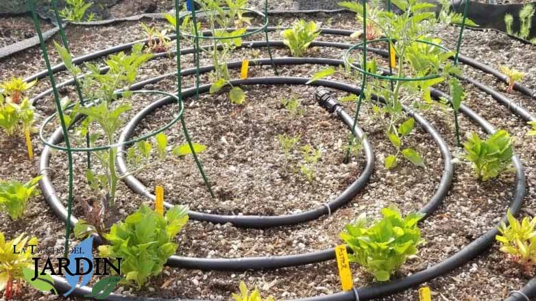 Los productos de riego por goteo más utilizados